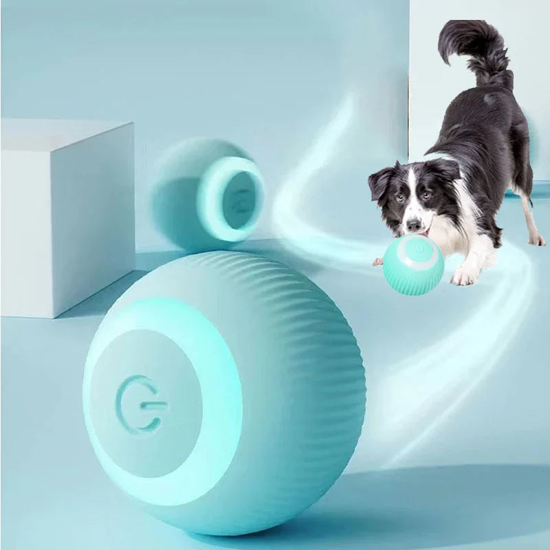 Bolinha Pet Inteligente - Rolamento Automático